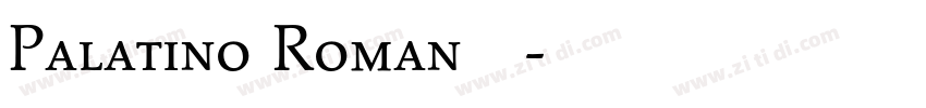 Palatino Roman 常规字体转换